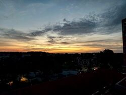 Blk 451 Sin Ming Court (Bishan), HDB 4 Rooms #555472751